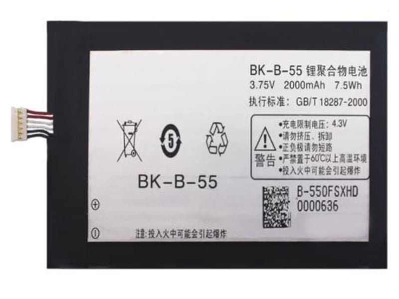 vivo/BK-B-55