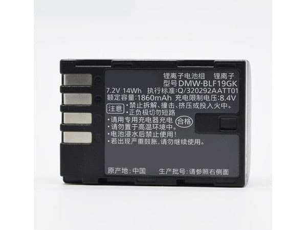 panasonic/other/panasonic-DMW-BLF19GK