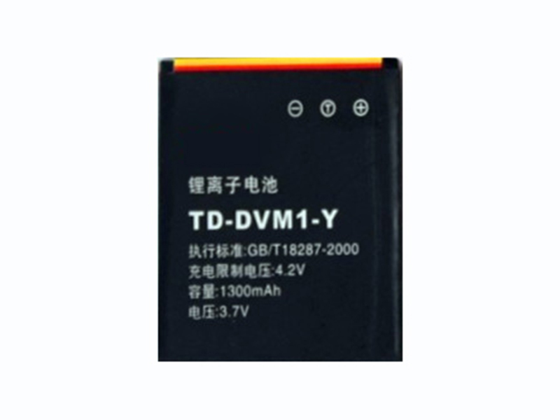 TD-DVM1-Y