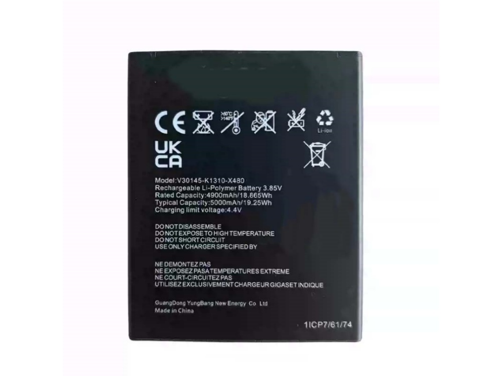 V30145-K1310-X480